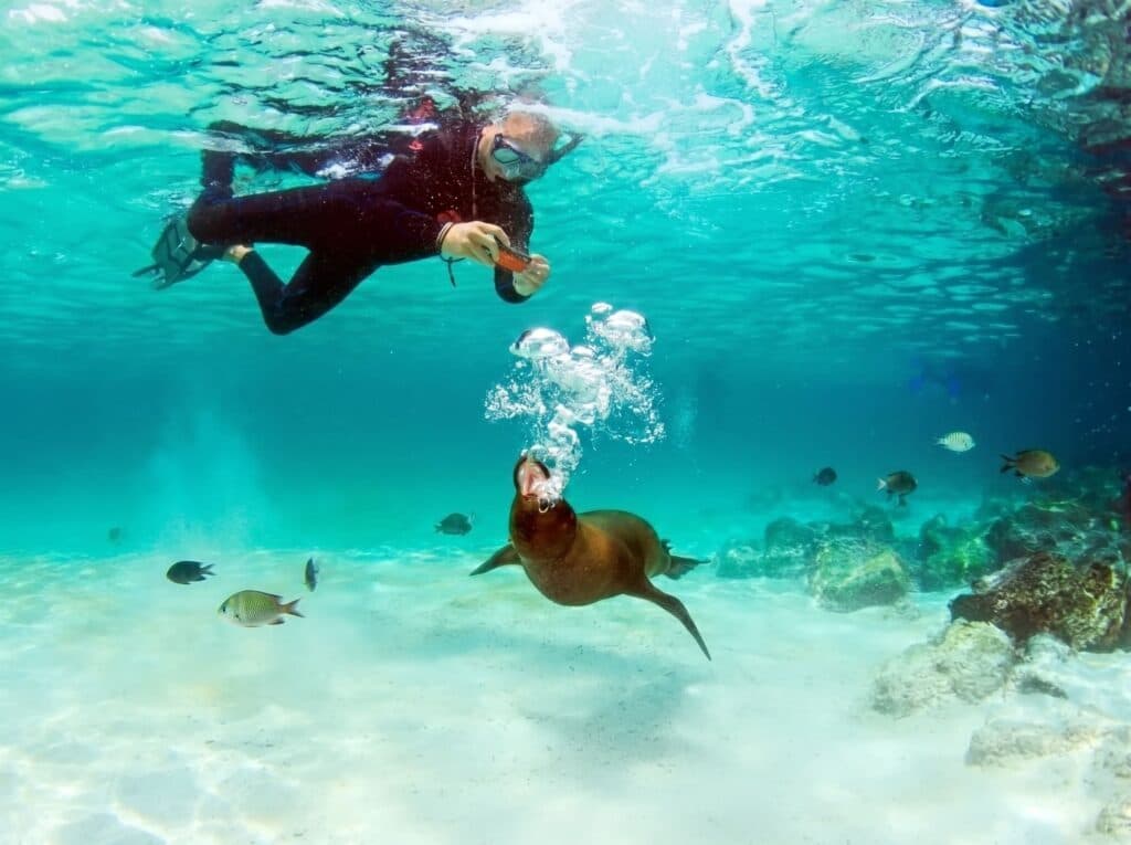 Tour 180° Isla Santa Cruz