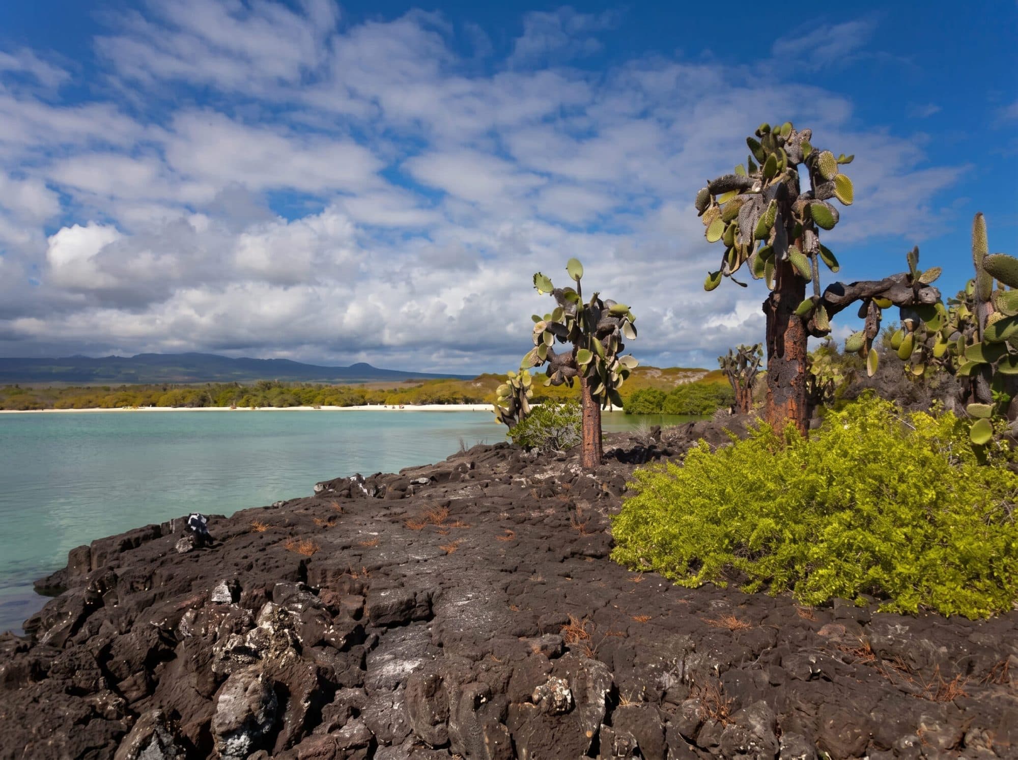 Tour a la Isla Floreana
