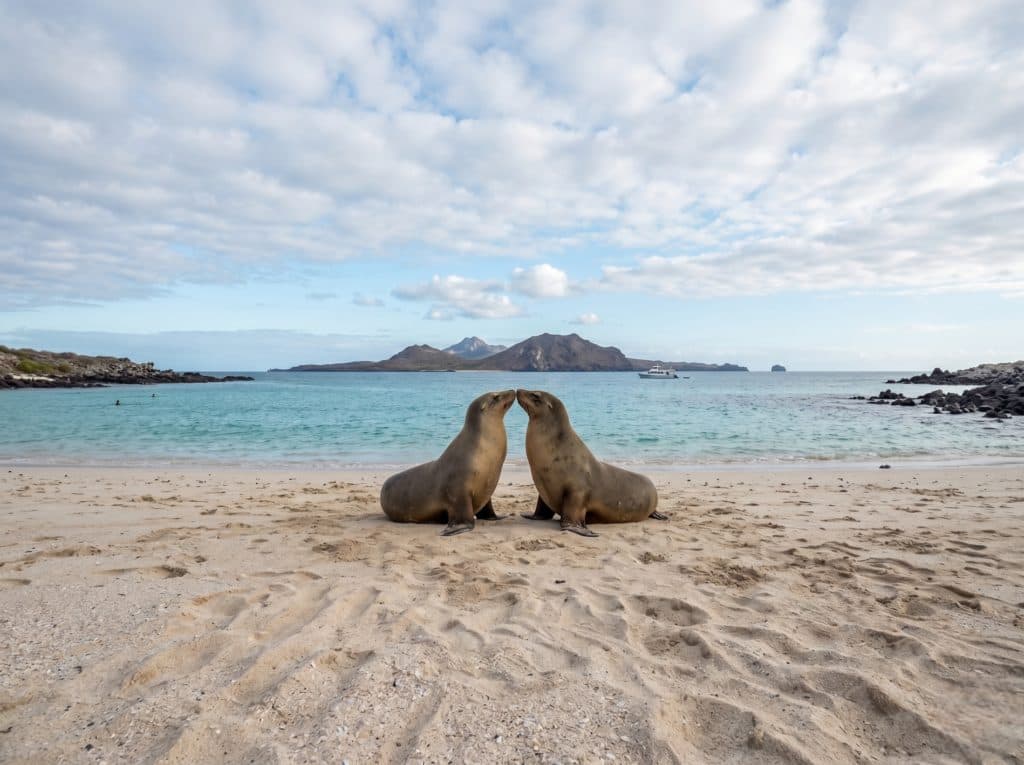 Tour a la Isla Lobos